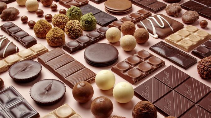 chocolate business in hindi